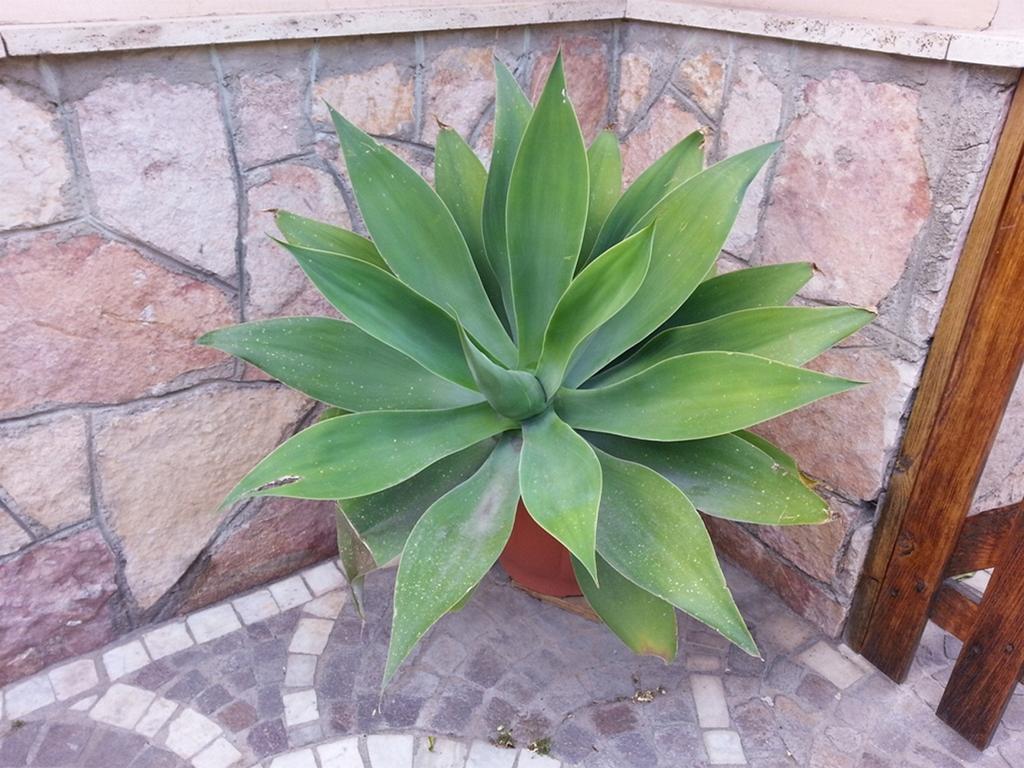 Villa Pollio Meta Dış mekan fotoğraf