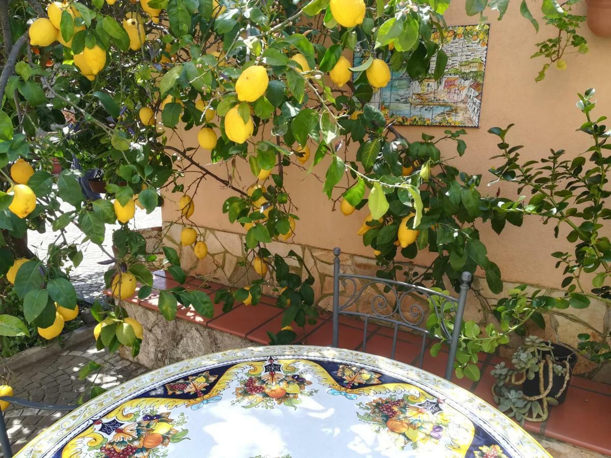 Villa Pollio Meta Dış mekan fotoğraf
